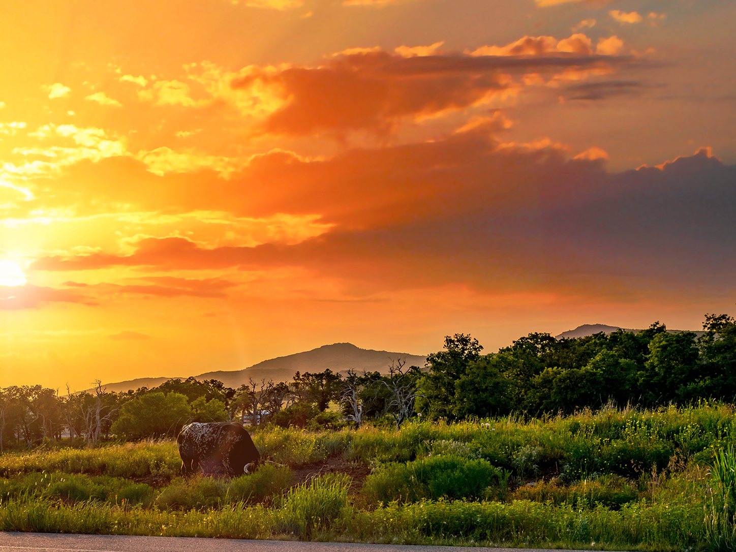 Sunset over open grassland and low hills, with a boulder in the foreground